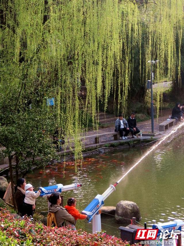 【赴春之约】春天在烈士公园，打了一个翠绿的响指