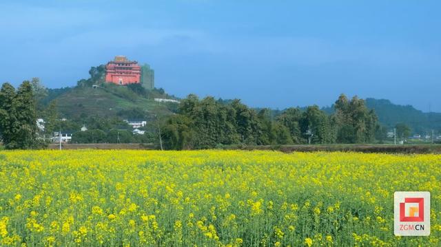 长山镇：打造川南田园栖居 绘就文旅融合图景