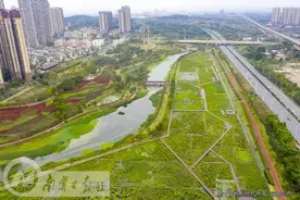 广西生态质量指数连续两年位居全国第二 那考河入选全国美丽河湖优秀案例图片