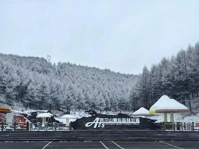 内蒙古冰雪旅游季第二站|当阿尔山飘雪,赴一场温泉与惊喜的约会