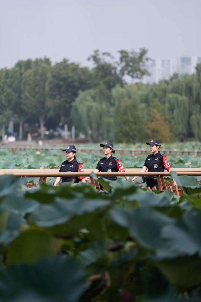 这个假期，南京温度刚刚好！