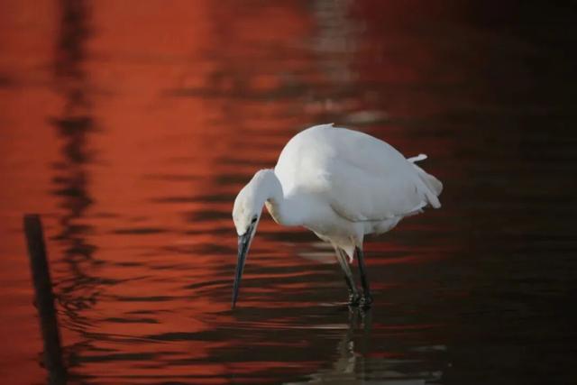 上新啦！魔都这些地方又有新玩法