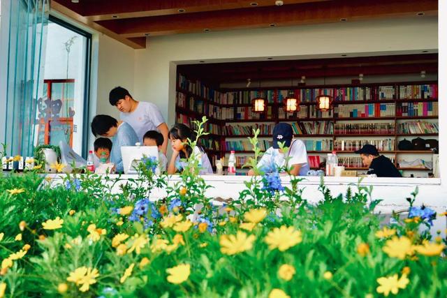 大理最治愈的129公里：这个夏天，在洱海边找到生活的解药