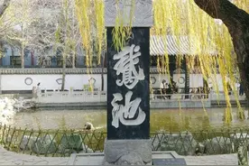 穿越千年而来的白鹅，在王羲之故居曲项向天歌图片