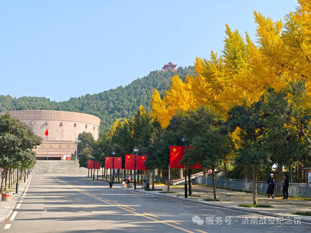 在英雄山，一叶知秋，邀您共赏