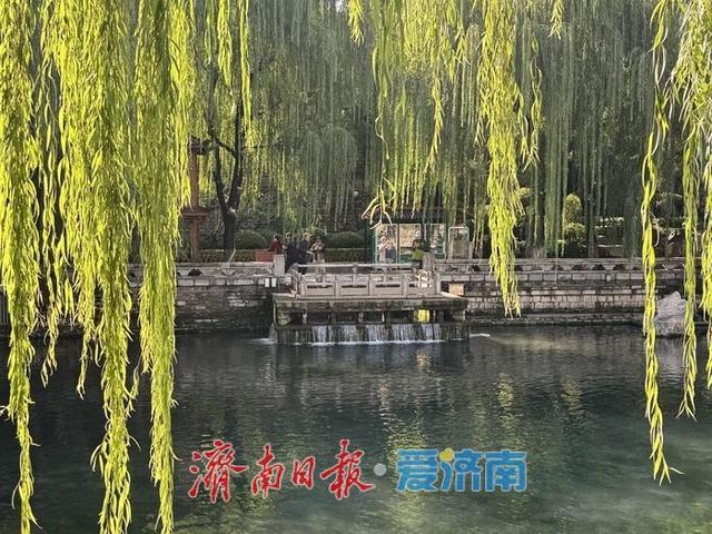 一年四季 泉在济南丨黑虎泉水位创新高 玛瑙泉瀑布惹人醉