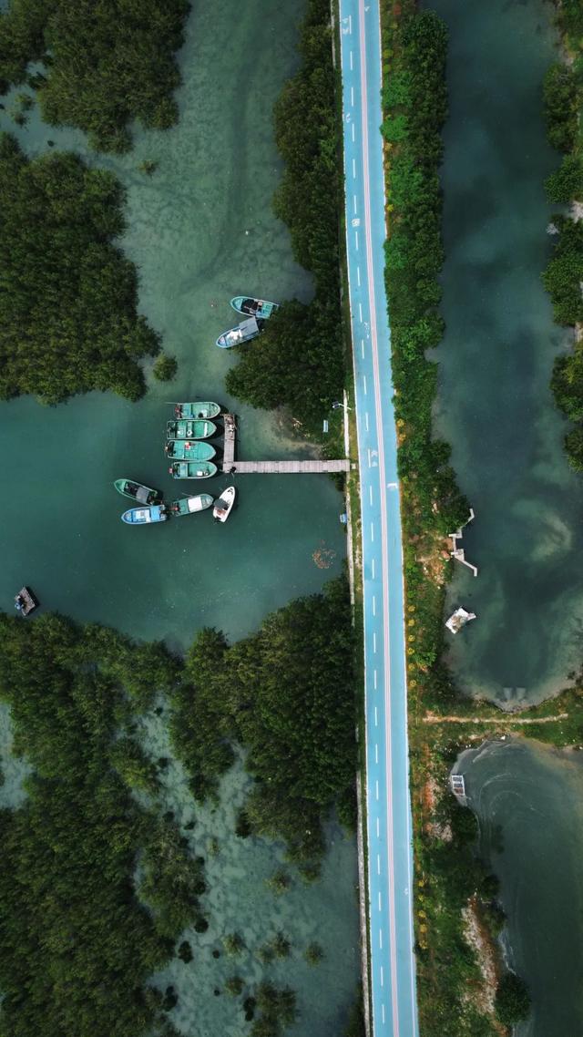 【诗意陵水】桐海渔灯