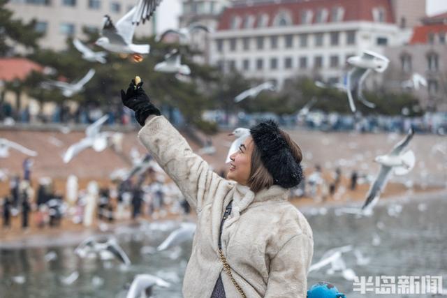 小雪不挡“鸥”式浪漫