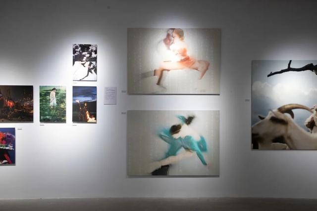 跨越那二十多分钟：集美·阿尔勒的十一年