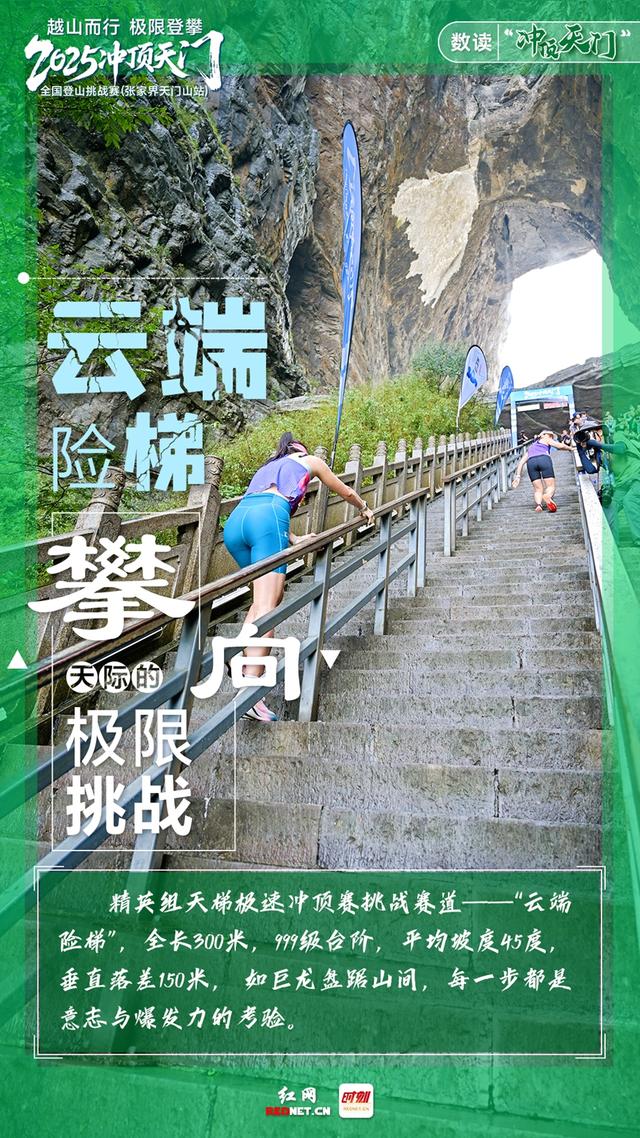 “数”读 | 冲顶天门，步履不凡！
