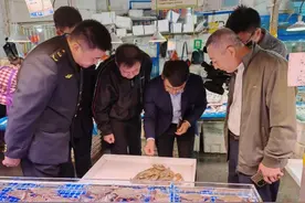 大连市场出现怪异“红尾虾”，官方发布提醒！图片