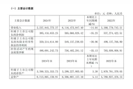 志邦家居2024年净利润3.85亿元 同比减少35.23%图片