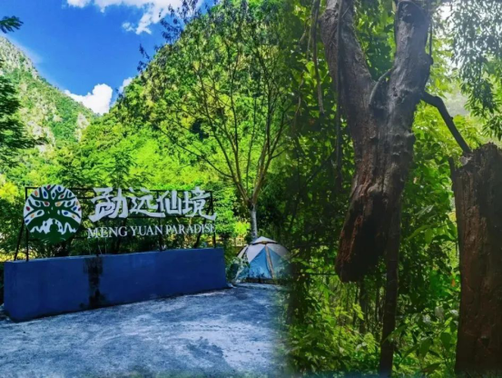 5天逃离计划：在西双版纳 开启一场暑期奇遇
