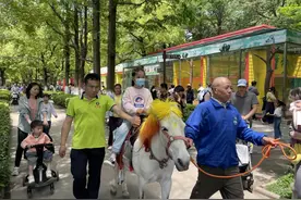荆州市中山公园动物园：亲近动物好去处 自然之乐共分享图片