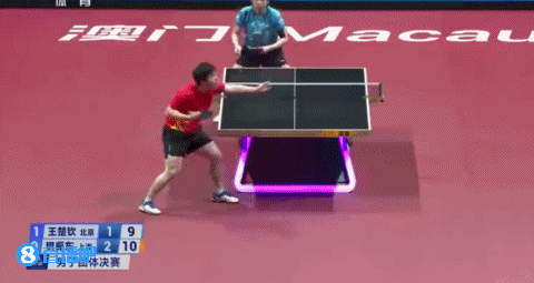 王楚钦输球后头砸球台