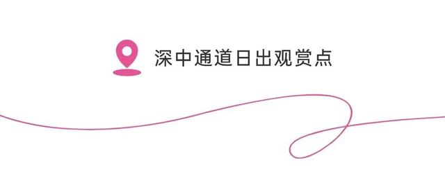 摊主招募令｜就在深中通道日出观赏点，随日出与浪潮开摊吧！