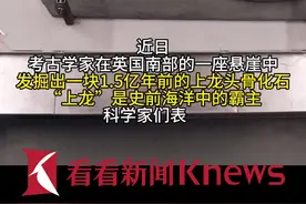 英国发现1.5亿年前化石 来自史前海洋霸主上龙图片