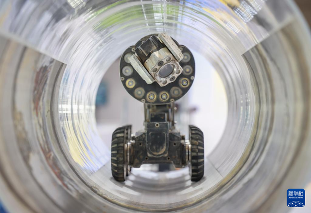 2025年世界城市日中国主场活动在重庆开幕