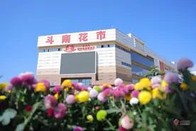 点赞！2024年斗南花卉交易量超140亿枝图片