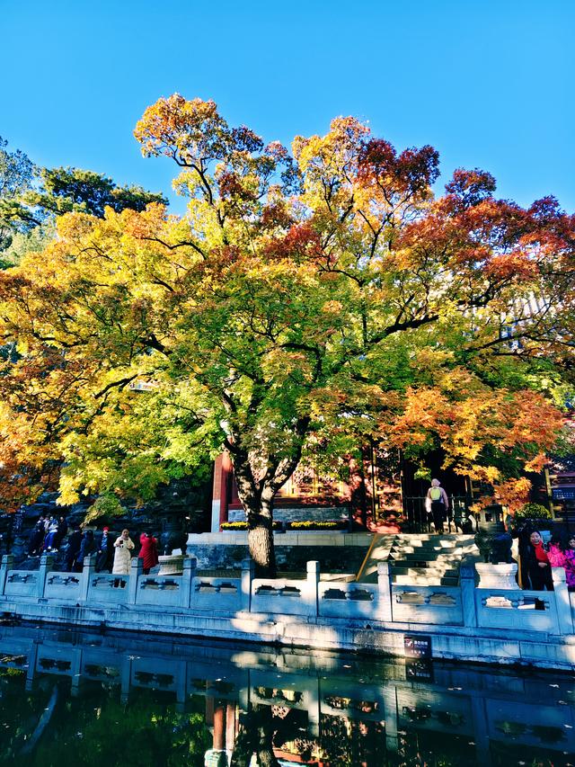今日北京晴朗微风，有空走走，赏秋正当时
