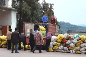 以数字赋能 助力涪陵农业跑出“加速度”图片