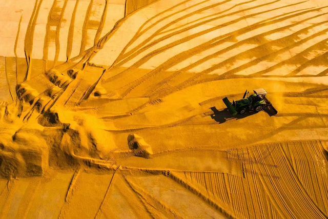 崇明秋色，坠入一场温柔的五彩梦境