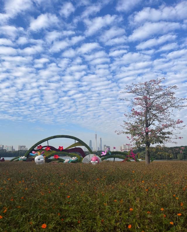 开往秋天花海的地铁，快上车！丨一“线”游广佛