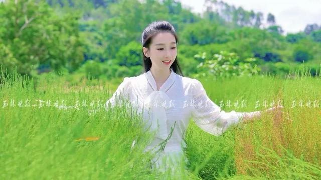 快来打卡！玉林这里藏着一片“绿野仙踪”
