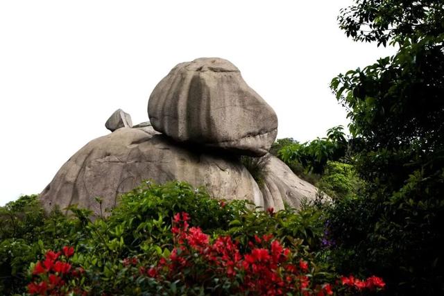 别辜负春天！4月宁德1景区进入颜值巅峰！快来赏花~