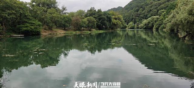 【美丽贵州】春季油菜花  秋季野花美｜花溪十里河滩“格桑花田”吸引游客赏花打卡