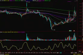 这支“520概念股”表白节赚了！000520凤凰航运涨停图片