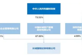 长城国瑞因首席信息官长期空缺等原因被罚，去年信息投入5647万图片