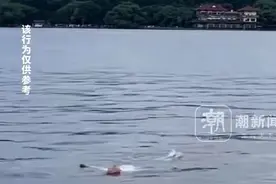 “太机智！”不慎落入西湖后，她的求救动作亮了图片