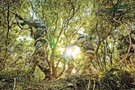 潜入丛林探“虎穴”——第73集团军某旅侦察分队训练掠影图片