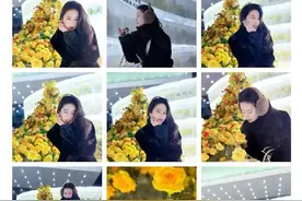 刘亦菲去哈尔滨打卡冰封黄玫瑰！哈尔滨文旅：玫瑰遇见玫瑰图片