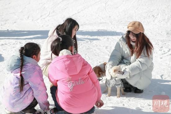 夹金山下滑雪！跟着大熊猫冬游雅安