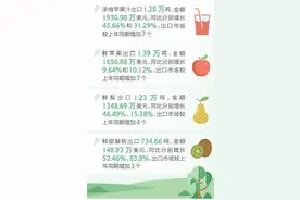 一季度陕西果品出口形势向好 鲜猕猴桃出口金额排名全国第一图片