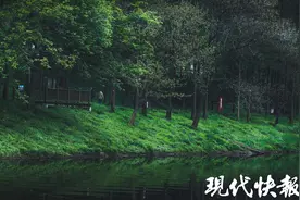 惊艳！这里有你寻找的现实版“绿野仙踪”图片
