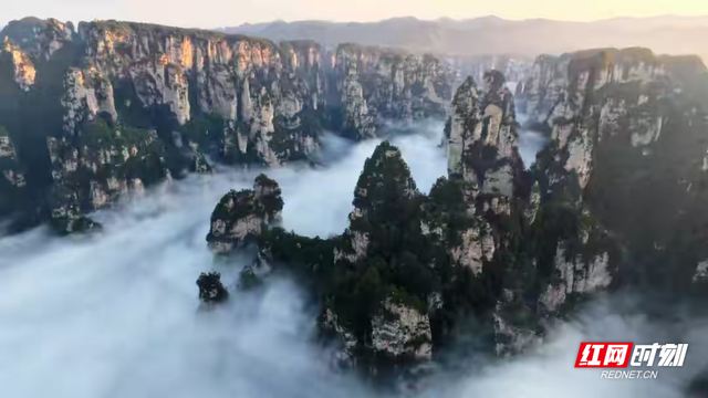 韩国游客络绎不绝 张家界国家森林公园成热门打卡地