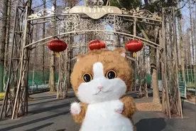 春节来崇明，这么玩！图片