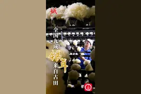 “城”势而上 | 全国九成银耳来自古田图片