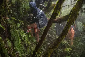 游客擅闯禁区“探险”“野游”丨这能刑吗？图片