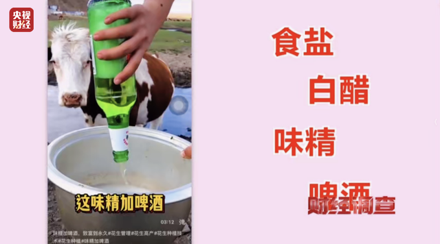 曝光！一切都是演的！“祥禾农业创始人”，承认造假