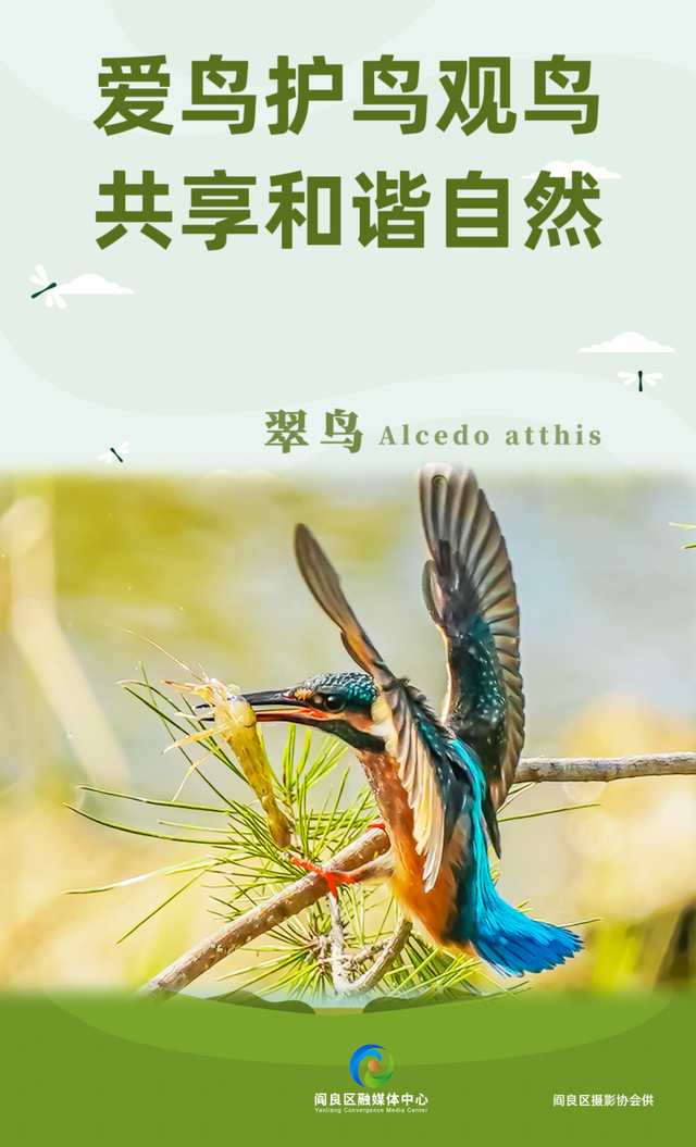 2025西安航空航天体验消费嘉年华7月18日盛大来袭！