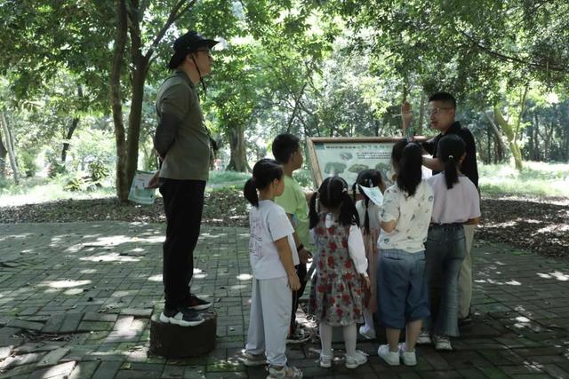 勇敢者的游戏！丛林穿越大冒险，真人CS对抗战免费玩！就在这里→