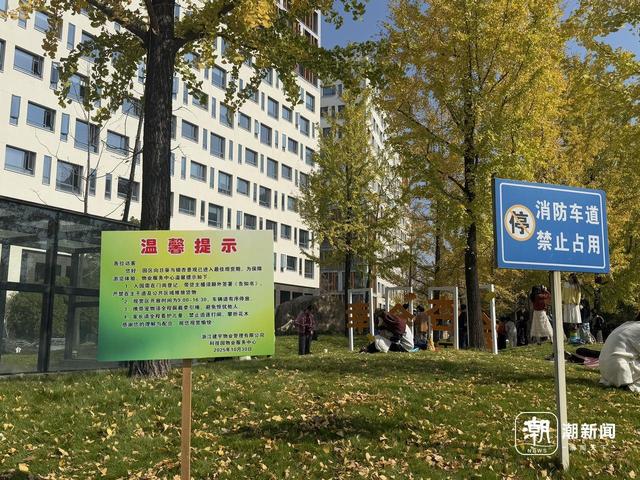 清吟街银杏正在变色，科技园里已落叶成诗，杭州秋日限时款美景渐入佳境