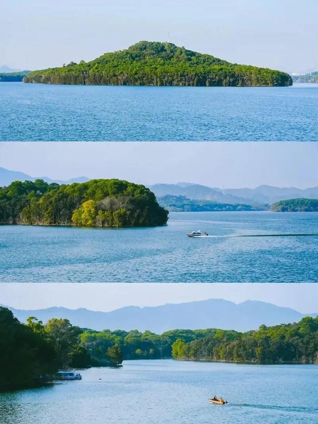 双节“反向旅游”？宝安这几个冷门地，人少景也美