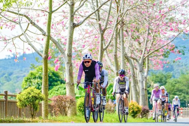 在增城，邂逅一场慢旅行！