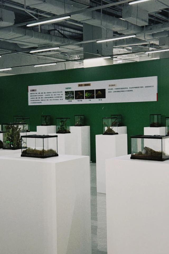 “疯狂动物城”现实版来啦！免费送票，速冲！