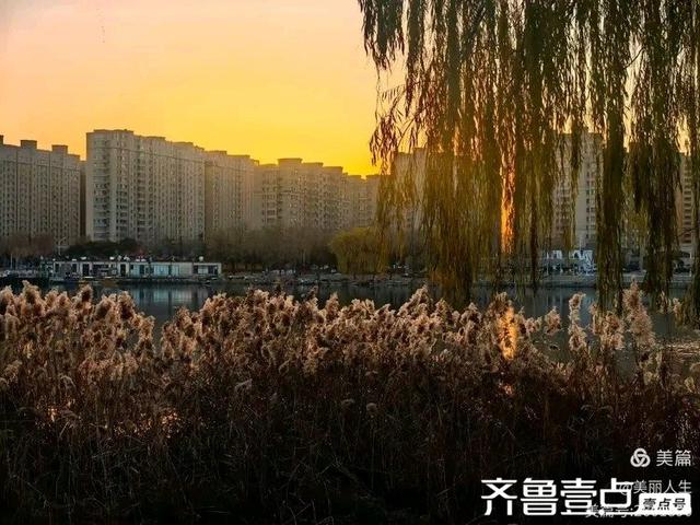 她的背影，是我一生的港湾